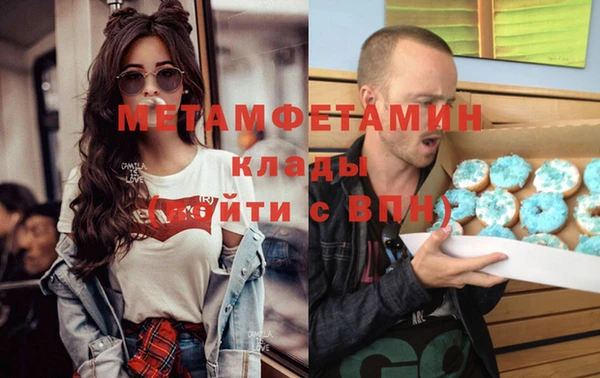гидра Няндома