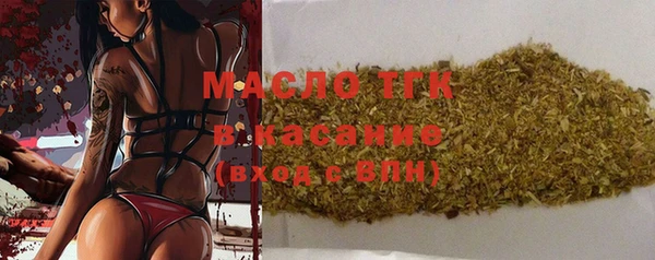 гидра Няндома