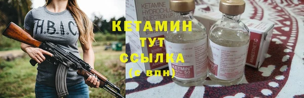 гидра Няндома