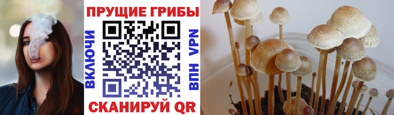 как найти закладки  Лакинск  Псилоцибиновые грибы мухоморы 